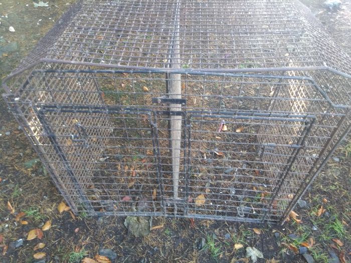 Dog transportation cage