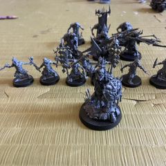 Warhammer Age of Sigmar Kruleboyz Lot