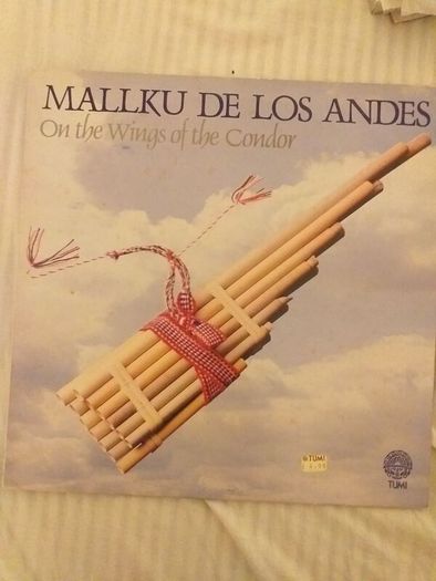 Mallku De Los Andes.