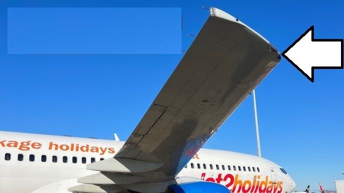Boeing 737 Next Generation Wing tip with Nav Lights