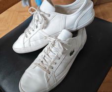Lacoste trainers