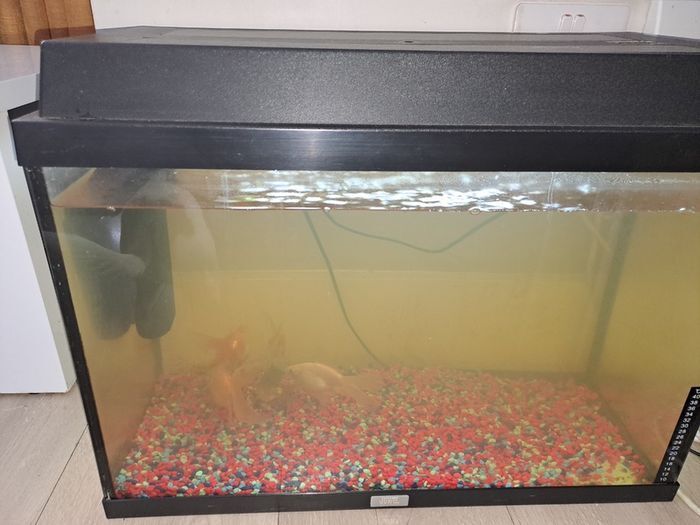 200 Litre Aquarium and cabinet for sale - Free 70 litre tank if purchased