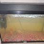 200 Litre Aquarium and cabinet for sale - Free 70 litre tank if purchased Image 4