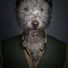 eoin_the_giant
