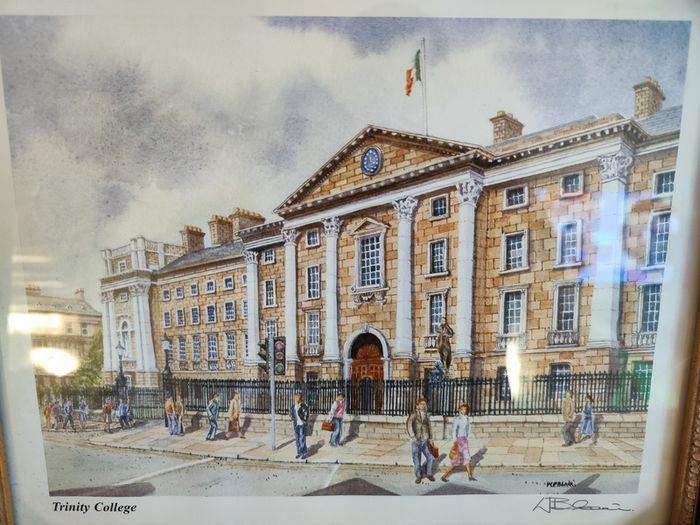 New framed Modern Picture Trinity college Dublin Ireland