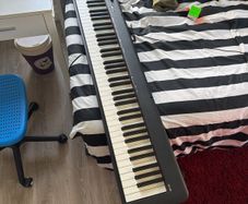 Casio CDP S100 88 keys Weighted Sensitive Keyboard Piano
