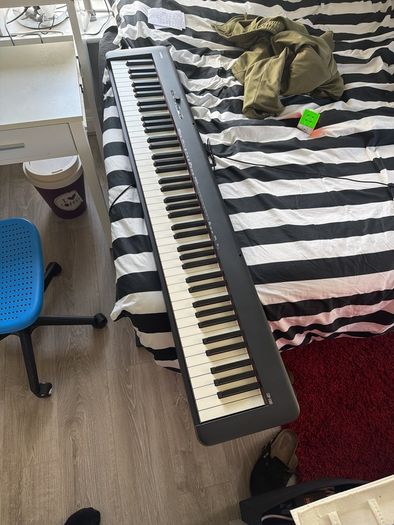 Casio CDP S100 88 keys Weighted Sensitive Keyboard Piano