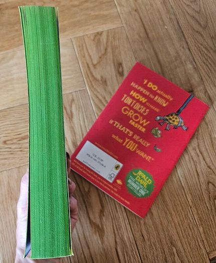Roald Dahl The Witches + FREE Esio Trot