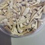 SHark teeth fossils etc. Image 5