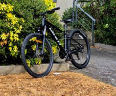 Giant Talon 3