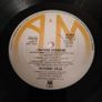 Suzanne Vega - Solitude Standing Irish pressing Image 5