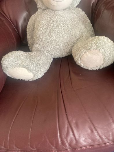 Vintage "Cuddles Time" Teddy Bear