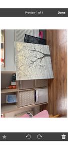 canvas