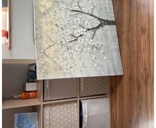 canvas