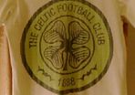 Boys Celtic t shirt age 8/10 yr