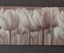 Canvas Picture - Large