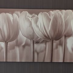 Canvas Picture - Large