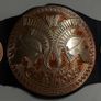 Selection of kids wrestling belts Image 7