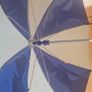 Cinderella Umbrella Image 3