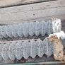 mesh Image 3