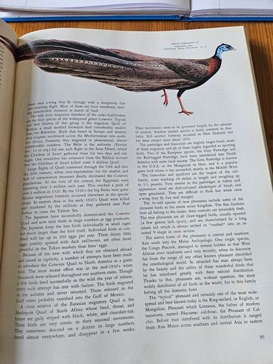 Birds Of The World. By Oliver L. Austin Jr. Illustrated By Arthur Singer. Forwarded By Sir Peter Scott. 1968 Large Volume Hardback With Dustjacket In Good Condition.
