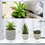 Pack of 5 Artificial Plants, Mini Artificial Plants Snake Tongue, Agave Succulent, Eagle Claw Aloe, Artificial Plants for Bedroom, Office, Decoration Image 3
