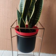 Plant Stand Solid Metal