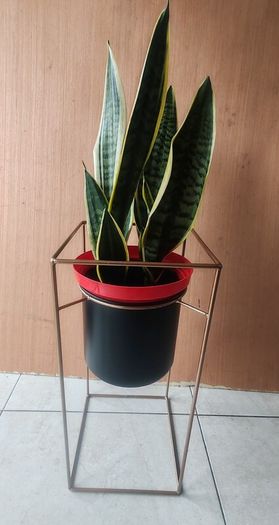 Plant Stand Solid Metal