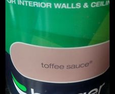 interior paint silk emulsion