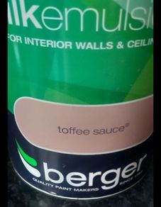 interior paint silk emulsion