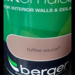 interior paint silk emulsion