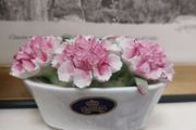 Aynsley, vintage pretty August birthday