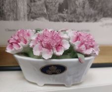 Aynsley, vintage pretty August birthday