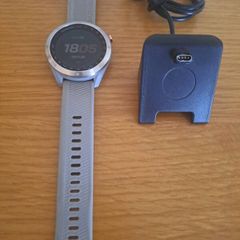 Garmin S40 Approach