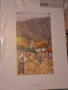 'Saving the hay'