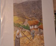 'Saving the hay'