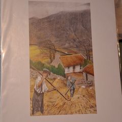 'Saving the hay'