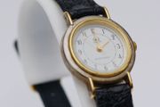 Ladies Q&amp;Q Quartz Watch