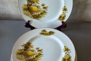 Plates Alfred Meakin