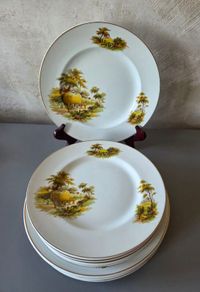 Plates Alfred Meakin