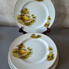 Plates Alfred Meakin