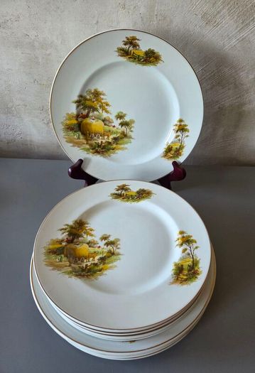 Plates Alfred Meakin