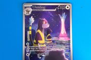 Pokemon card watchog