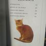Giant Book of the Cat Image 5