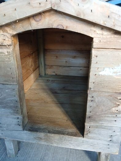 small Dog kennel