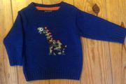 NEXT Dinosaur Jumper Age 9-12 Months
