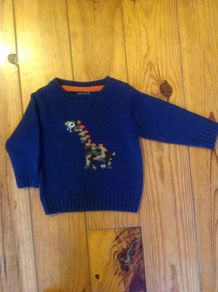NEXT Dinosaur Jumper Age 9-12 Months