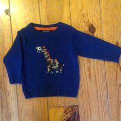 NEXT Dinosaur Jumper Age 9-12 Months