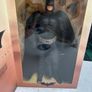Batman Image 6