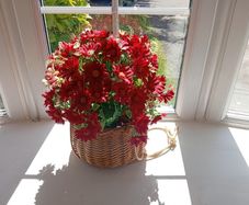 Beautiful Artifical Flower Display
